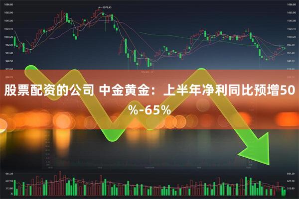 股票配资的公司 中金黄金：上半年净利同比预增50%-65%