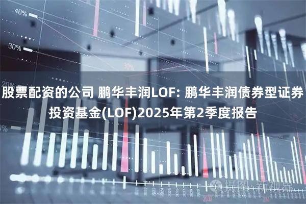 股票配资的公司 鹏华丰润LOF: 鹏华丰润债券型证券投资基金(LOF)2025年第2季度报告