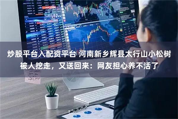 炒股平台入配资平台 河南新乡辉县太行山小松树被人挖走，又送回来：网友担心养不活了